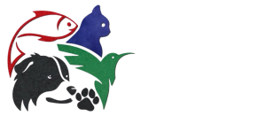 The Lord Pets World – Birds & Pets for Sale in Nagercoil