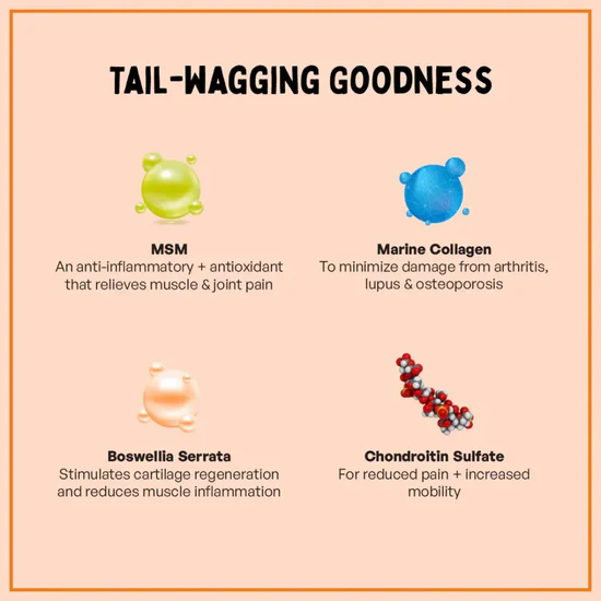 Furlicks Hip & Joint Supplement for Dogs & Cats _ Peanut Butter Flavour4 Furlicks Hip & Joint Supplement for Dogs & Cats _ Peanut Butter Flavour4