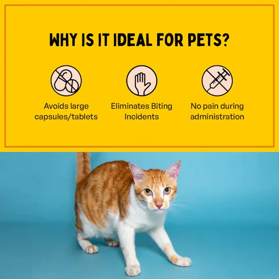 Furlicks Hip & Joint Supplement for Dogs & Cats _ Peanut Butter Flavour5 Furlicks Hip & Joint Supplement for Dogs & Cats _ Peanut Butter Flavour5