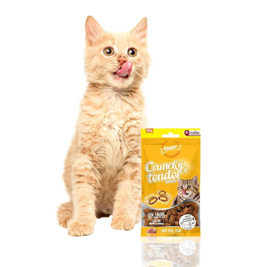 Gnawlers Crunchy Tenders Chicken Flavour Cat Treat – 65g2 Gnawlers Crunchy Tenders Chicken Flavour Cat Treat – 65g2