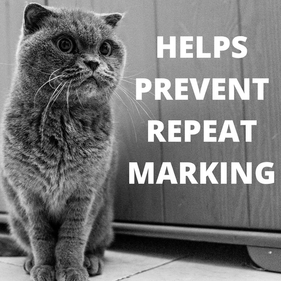 Simple Solutions Cat Stain and Odor Remover – 500ml5 Simple Solutions Cat Stain and Odor Remover – 500ml5